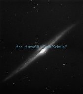 NGC 4565 (mosaico)